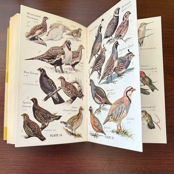 Audubon Western Bird Guide Pough 1957 Vintage Hardcover First Ed w/ CA Pamphlets - Picture 7 of 10